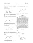 BORON-CONTAINING SMALL MOLECULES diagram and image