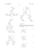 BORON-CONTAINING SMALL MOLECULES diagram and image