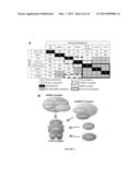 EPIGENETIC CO-REPRESSORS OF THE GAMMA-GLOBIN GENE AND METHODS OF USING     SAME diagram and image