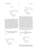 PYRROLOPYRAZINE KINASE INHIBITORS diagram and image