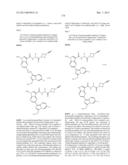 PYRROLOPYRAZINE KINASE INHIBITORS diagram and image