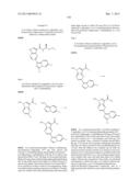 PYRROLOPYRAZINE KINASE INHIBITORS diagram and image