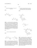 PYRROLOPYRAZINE KINASE INHIBITORS diagram and image