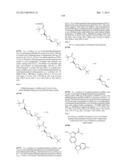 PYRROLOPYRAZINE KINASE INHIBITORS diagram and image