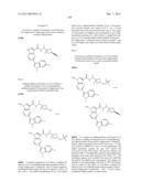 PYRROLOPYRAZINE KINASE INHIBITORS diagram and image