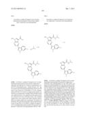 PYRROLOPYRAZINE KINASE INHIBITORS diagram and image