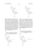 PYRROLOPYRAZINE KINASE INHIBITORS diagram and image