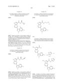 PYRROLOPYRAZINE KINASE INHIBITORS diagram and image