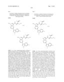 PYRROLOPYRAZINE KINASE INHIBITORS diagram and image