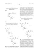 PYRROLOPYRAZINE KINASE INHIBITORS diagram and image