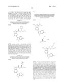 PYRROLOPYRAZINE KINASE INHIBITORS diagram and image