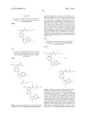 PYRROLOPYRAZINE KINASE INHIBITORS diagram and image