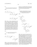 PYRROLOPYRAZINE KINASE INHIBITORS diagram and image