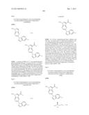 PYRROLOPYRAZINE KINASE INHIBITORS diagram and image