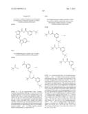 PYRROLOPYRAZINE KINASE INHIBITORS diagram and image