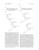 PYRROLOPYRAZINE KINASE INHIBITORS diagram and image