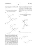 PYRROLOPYRAZINE KINASE INHIBITORS diagram and image