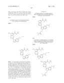 PYRROLOPYRAZINE KINASE INHIBITORS diagram and image