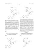 PYRROLOPYRAZINE KINASE INHIBITORS diagram and image