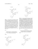 PYRROLOPYRAZINE KINASE INHIBITORS diagram and image