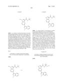 PYRROLOPYRAZINE KINASE INHIBITORS diagram and image