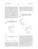 PYRROLOPYRAZINE KINASE INHIBITORS diagram and image