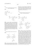 PYRROLOPYRAZINE KINASE INHIBITORS diagram and image