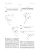 PYRROLOPYRAZINE KINASE INHIBITORS diagram and image