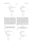 PYRROLOPYRAZINE KINASE INHIBITORS diagram and image