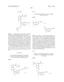 PYRROLOPYRAZINE KINASE INHIBITORS diagram and image