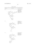 PYRROLOPYRAZINE KINASE INHIBITORS diagram and image