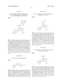 AZAINDAZOLES diagram and image