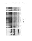 Novel 1, 2-Disubstituted Amido-anthraquinone Derivatives, Preparation     Method and application thereof diagram and image