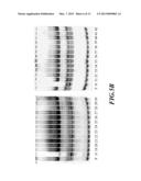 Novel 1, 2-Disubstituted Amido-anthraquinone Derivatives, Preparation     Method and application thereof diagram and image