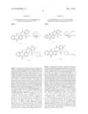 Novel 1, 2-Disubstituted Amido-anthraquinone Derivatives, Preparation     Method and application thereof diagram and image