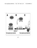 Compositions and Methods for Cancer Detection and Treatment diagram and image