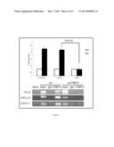 Compositions and Methods for Cancer Detection and Treatment diagram and image