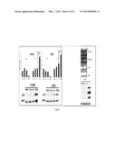 Compositions and Methods for Cancer Detection and Treatment diagram and image