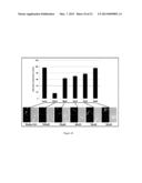 Compositions and Methods for Cancer Detection and Treatment diagram and image