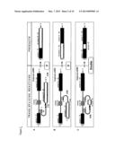 Pre-MRNA Trans-Splicing Molecule (RTM) Molecules and Their Uses diagram and image