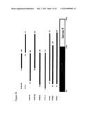 Pre-MRNA Trans-Splicing Molecule (RTM) Molecules and Their Uses diagram and image