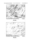 CARBON NANOTUBE-REINFORCED NANOCOMPOSITES diagram and image