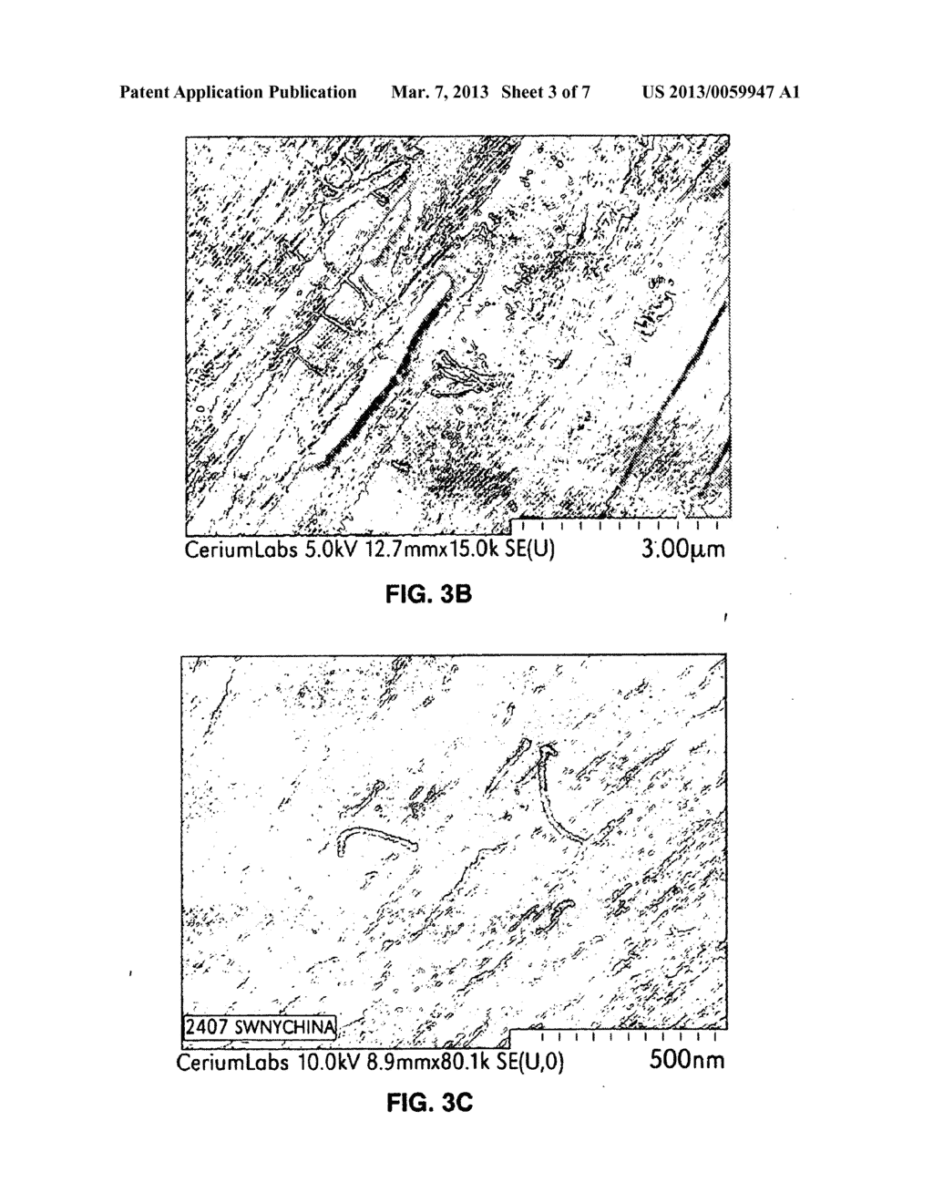 CARBON NANOTUBE-REINFORCED NANOCOMPOSITES - diagram, schematic, and image 04