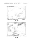 CARBON NANOTUBE-REINFORCED NANOCOMPOSITES diagram and image