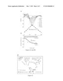 METHOD FOR SILK FIBROIN GELATION USING SONICATION diagram and image