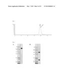 FC-FREE ANTIBODIES COMPRISING TWO FAB FRAGMENTS AND METHODS OF USE diagram and image