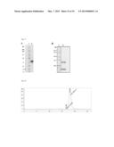 FC-FREE ANTIBODIES COMPRISING TWO FAB FRAGMENTS AND METHODS OF USE diagram and image