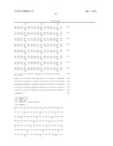 GENETICALLY MODIFIED PLANTS WHICH SYNTHESIZE A LOW AMYLOSE STARCH WITH     INCREASED SWELLING POWER diagram and image