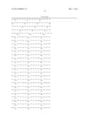 GENETICALLY MODIFIED PLANTS WHICH SYNTHESIZE A LOW AMYLOSE STARCH WITH     INCREASED SWELLING POWER diagram and image