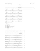 GENETICALLY MODIFIED PLANTS WHICH SYNTHESIZE A LOW AMYLOSE STARCH WITH     INCREASED SWELLING POWER diagram and image